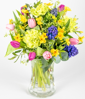 Cheerful