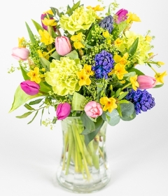 Cheerful
